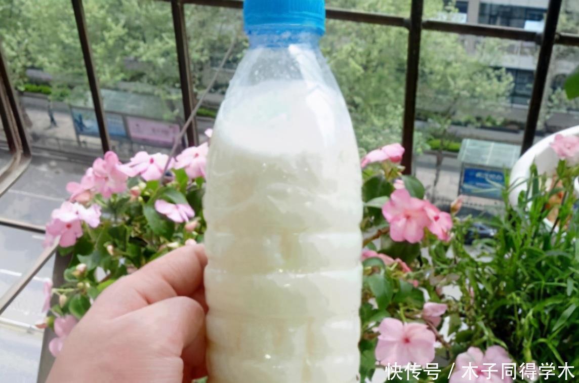 家庭中一些常见的东西,拿来养花是“宝贝”,效果不比买的肥料差