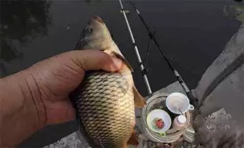 野钓新手开钓前，想要有渔获，这几件事得做到心里有数！