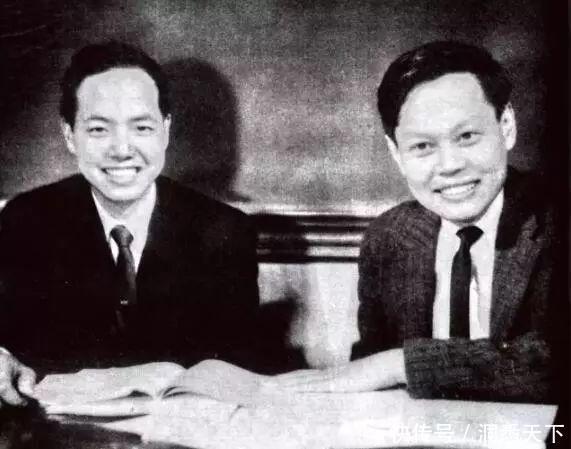 西方人不解：杨振宁冒着被人说的风险，也要阻止这个项目？