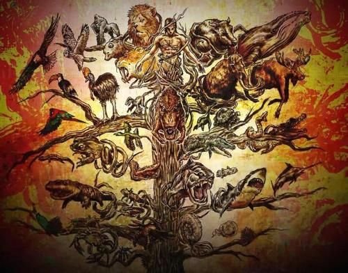 昭和|假面骑士礼拜四：菲尼克斯可能是令和修卡，签名背后出现1号印章