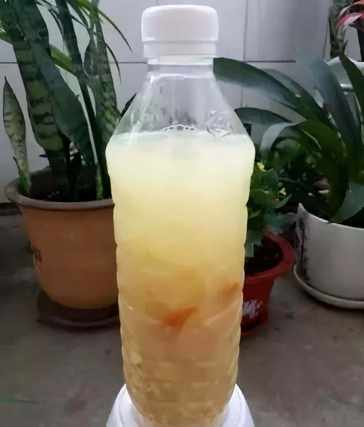 “一等养花肥”从不需花钱买，亲自动手制作，效果好还不烧苗