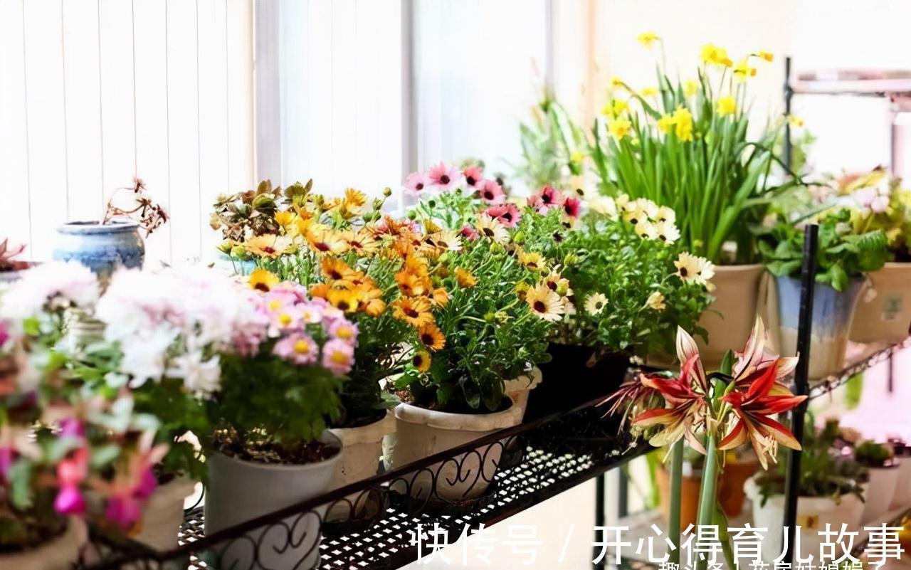 这八种花卉的香味堪比“香水”,阳台上栽一盆,花香就能飘满屋