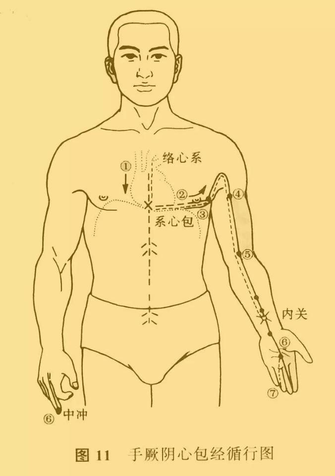 人体真有经络线路？新实验清晰显示出人体经络穴位，古人咋发现的