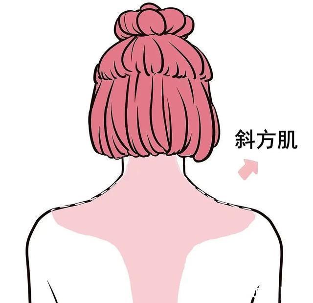 脂肪细胞 吸脂真的能做到想瘦哪里瘦哪里吗?吸脂术后都有哪些注意的呢?