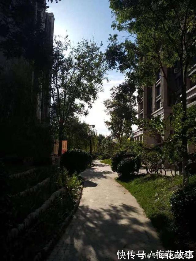 廊坊市|河北省廊坊市一187平房产将拍卖,以207万元起拍