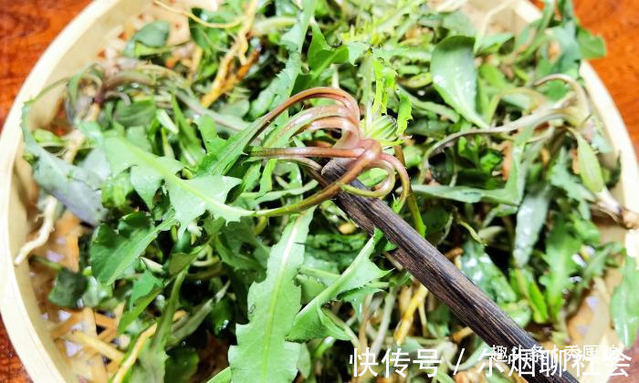 野菜|被“误解”最深的菜,全身是宝,比荠菜还营养,却因名字被人嫌弃