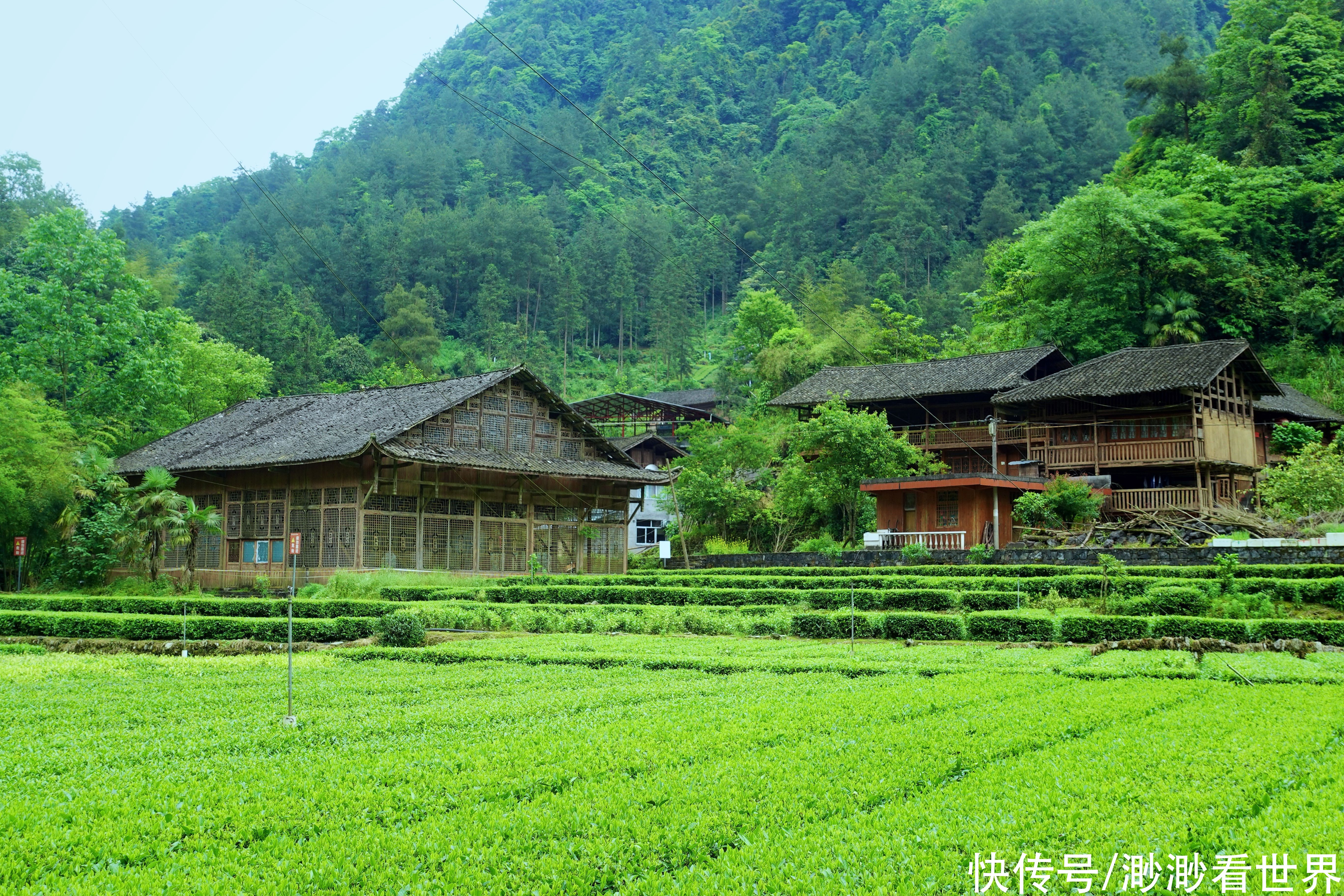 老两口|湖北大山深处，隐藏着一处人间秘境，被誉为中国最后的香格里拉