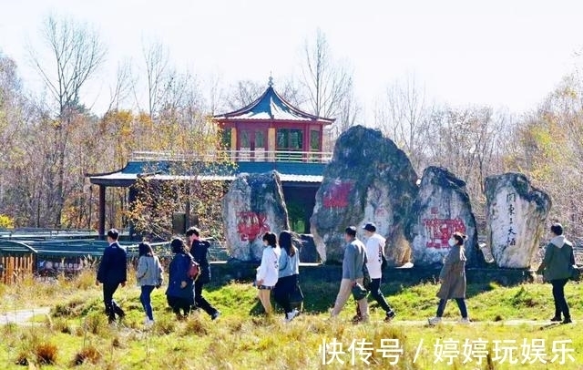 秋天|自带滤镜！最浪漫的秋天非她莫属！