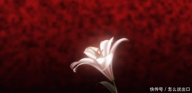 小时|20分钟动画看3小时!为何令我如此着迷全程高能预警!