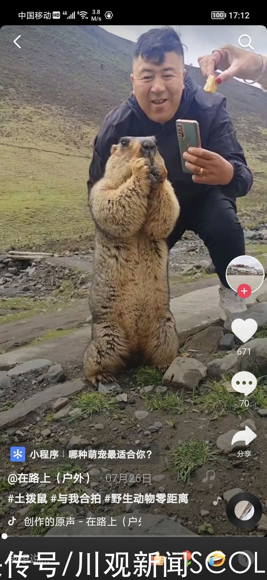鼠疫菌|宁夏确诊鼠疫患者病情危重 专家:去川西北高原旅游别碰“萌萌哒”土拨鼠