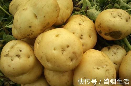 保存土豆别再放冰箱！教你三个储存方法，土豆放一年不发芽不坏