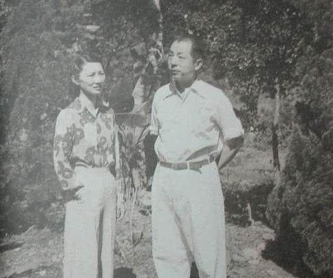 小姐|迷倒少帅张学良的“赵四小姐”到底有多美