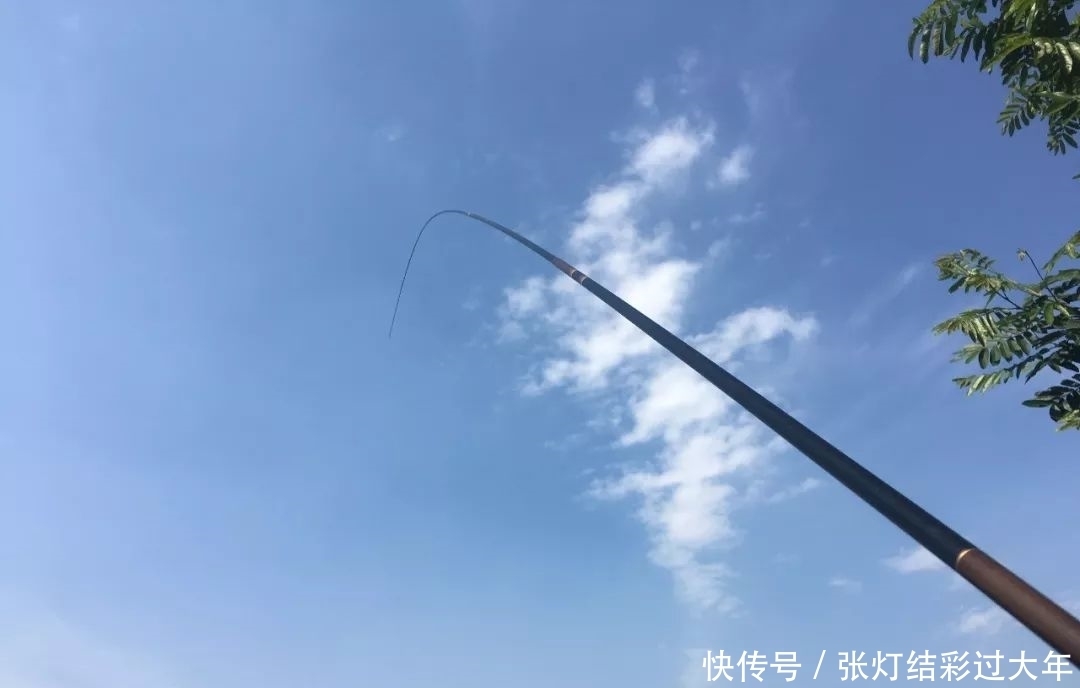 野钓|7款经典的钓鱼竿,想当年可都是野钓利器,你听过几个?