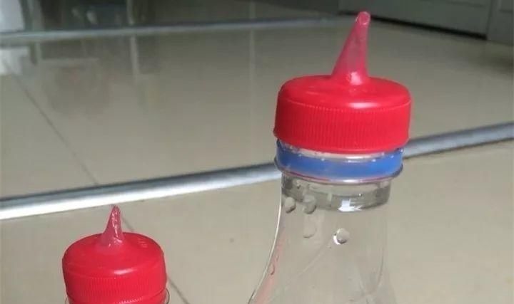 塑料瓶|旧筷子、老干妈瓶别扔,拿来养花效果好,省下一笔养花钱