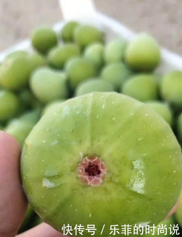 秋天|秋天无花果熟了,食用要注意,这几种行为不可取,影响身体健康
