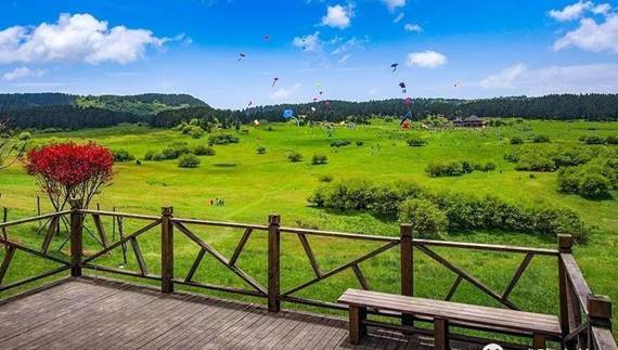 东莞|重庆仙女山春季旅游攻略