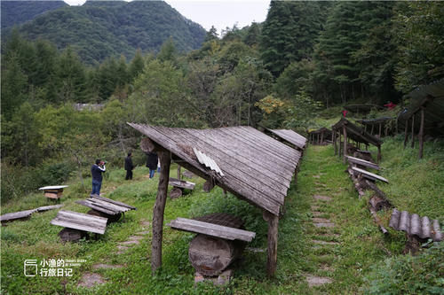 密林|秦岭无人山沟，像极了陶渊明笔下桃花源！密林深处竟藏着如此秘境