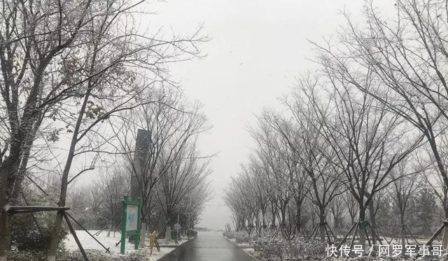 阜城|雪中的阜城东部仿宋式建筑群