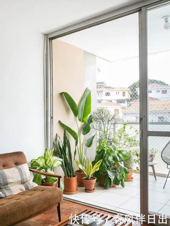 过上悠哉的小日子,不一定非要院子,有个阳台,一样可以养花种菜