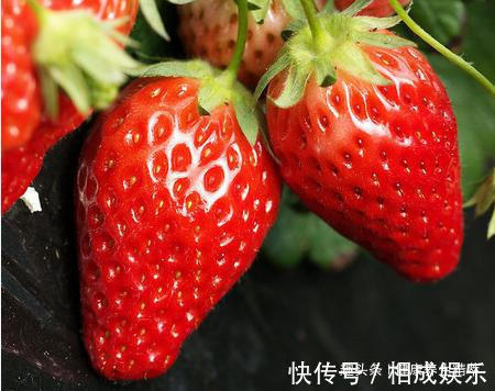 美白肌肤|女性不想老得快,不妨多吃此物,滋阴养血,美白肌肤,抗衰老!