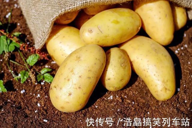 淀粉|土豆是增肥还是减肥？为了告诉你答案，他吃了一年的土豆