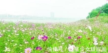 吉星|从8月12日开始，4属相吉星闪耀，运势上吉，福降临，大吉大利