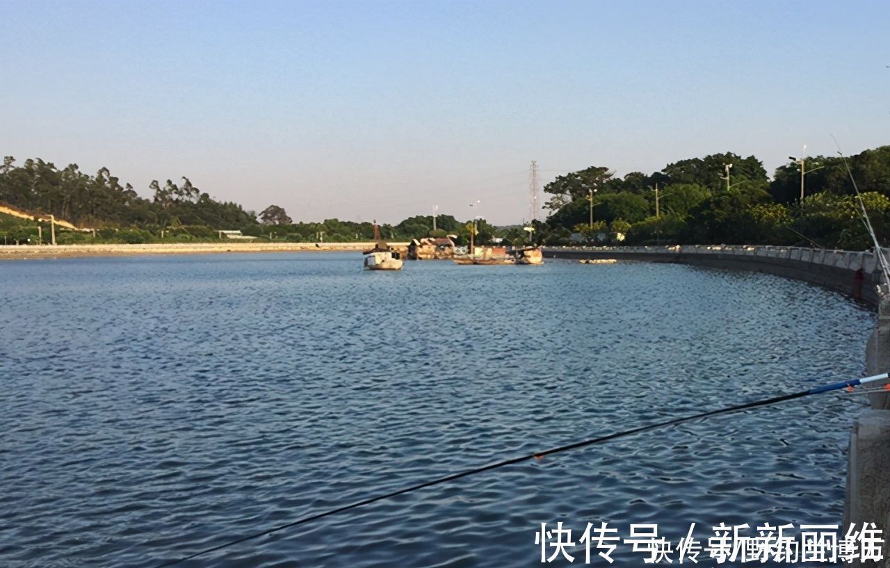 皮卡汽车|这届钓鱼人真不一般,为了能钓鱼,真是豁出去了
