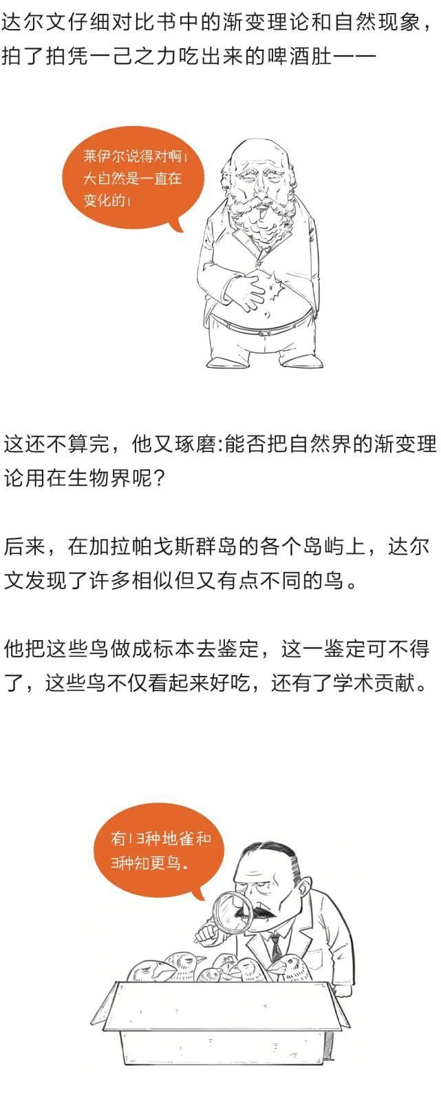 学了这么多年的进化论，竟然都理解错了？