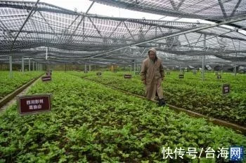 中国农业新闻网微信直播间