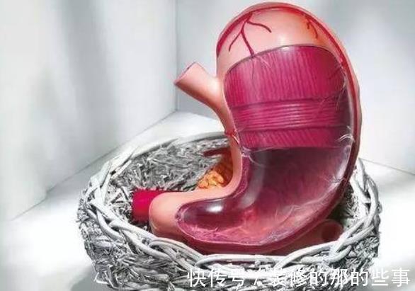 油炸食物|为何胃病患者越来越多？忠告：此类食物，即便再馋也不要去碰