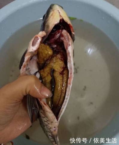 鱼汤|不管炖什么鱼汤,都不要直接炖!大厨教你4招,汤浓白,味鲜美