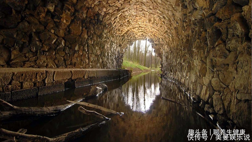 百病|三焦经,主一身之气!打通它,排掉闷气、病气、火气,气顺百病消