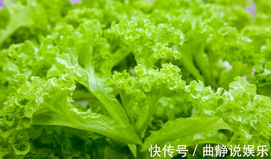 大肚子|生菜配上它,大肚子没了,失眠好了!女人不想满脸皱纹,可以试试
