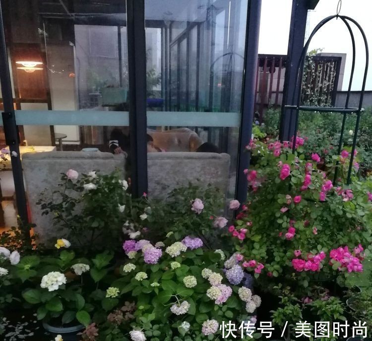 菜地|2年前买了个300㎡的露台，打造成屋顶花园，过上了田园生活