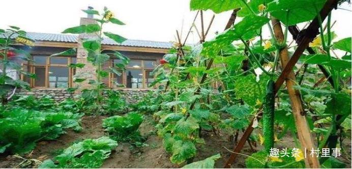 院子|宅基地确权时,院子如何确权房屋外的土地又该如何确权呢