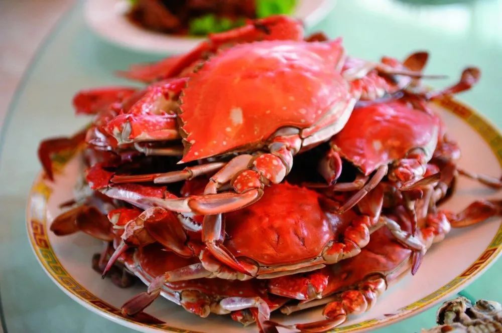 梭子蟹|此时的莱州，真鱻！