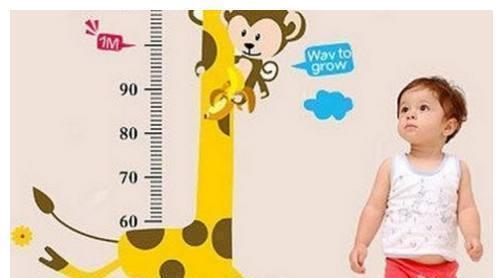 长身高|孩子长身高的5大信号,及时补充这几类营养!错过少长5公分