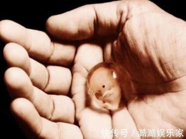 荷尔蒙|怀孕后,为何有人一直吐,有人却从不吐医生和腹中胎儿有关