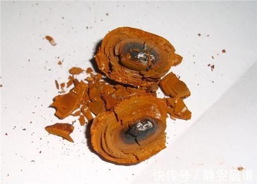 价值|一味产于农村很稀有的中药,可遇不可求,价值堪比黄金