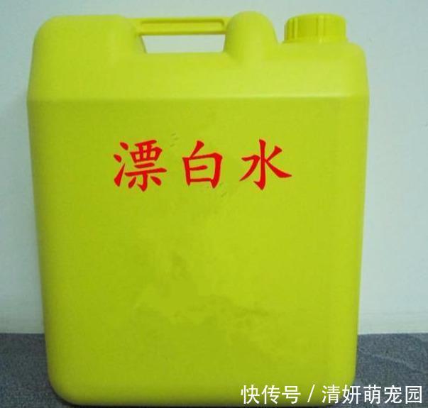 拖地时总闻到一股腥味,原因终于找到了