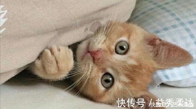 |开心笑话,傻瓜你长得丑,估计你得单身好久,就让你练练手劲