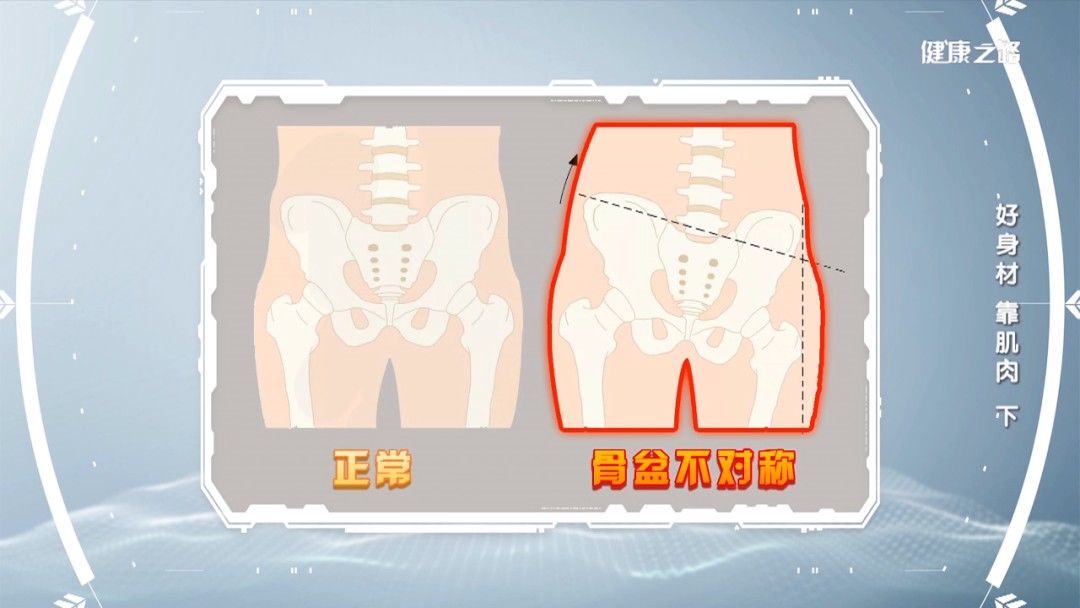 健康之路| 肌肉
