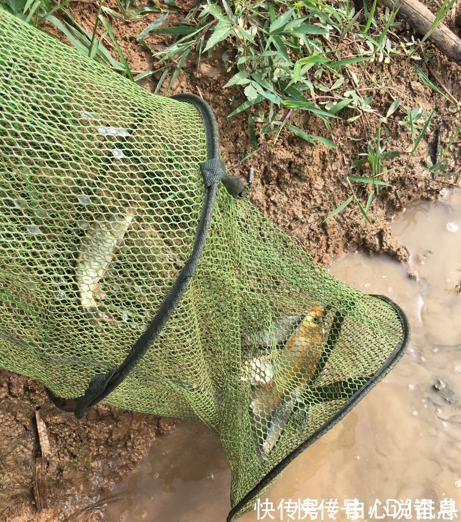 钓鱼人|钓鱼潜规则知多少?这8种大忌不能犯,全做到的算真钓鱼人