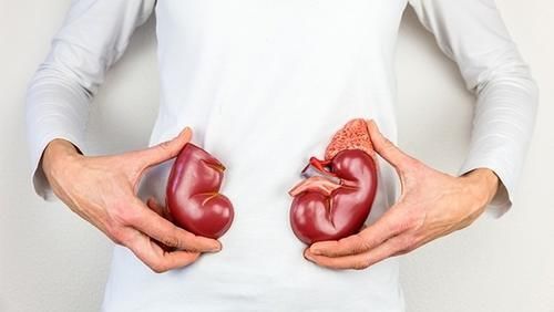 肾病|尿蛋白降了,以后就不会得尿毒症?错:那仅是第1步,还要做3件事