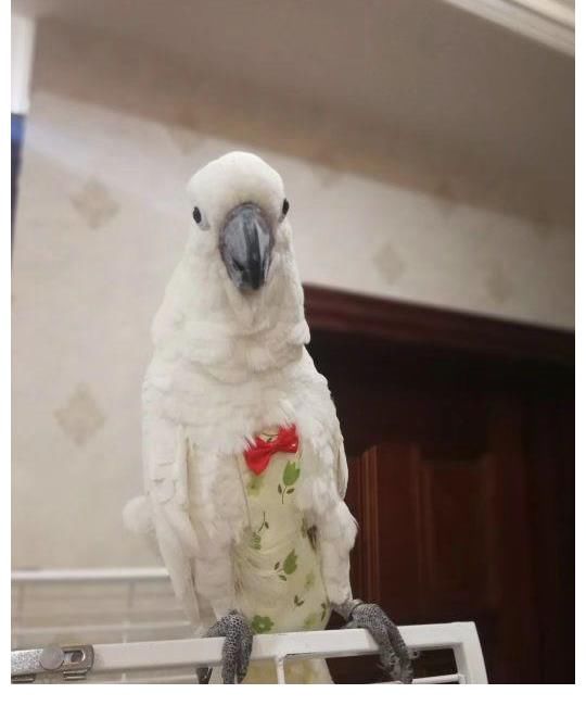 街舞|王一博这就是街舞对我的影响