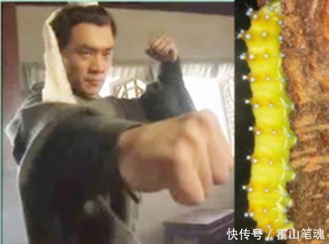 名字|李世民到底多猛?老虎见了要躲,观世音菩萨都得让路