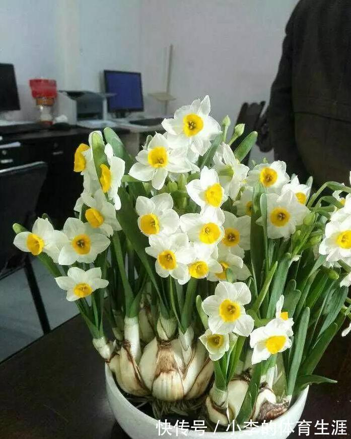 8种“小毒花”,叶子毒性大,家里若养着,光看别动它