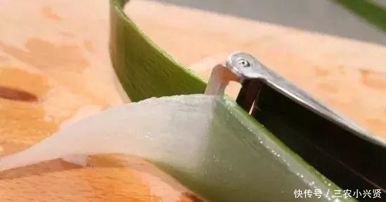 养人|家里养花不要瞎眼!这6种花旺财又养人,有2种花是大忌!