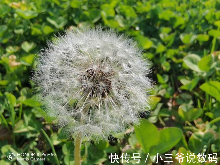 荣耀9|写在荣耀60发布之前--我的荣耀数字之路