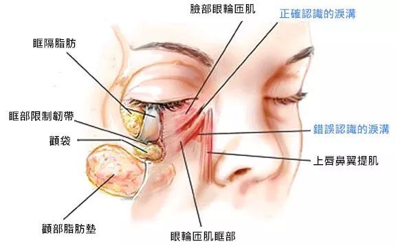  BAO|BAO美啦｜95后都逃不开的印第安纹，你有没有？